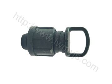 鎖母（mǔ）堵頭